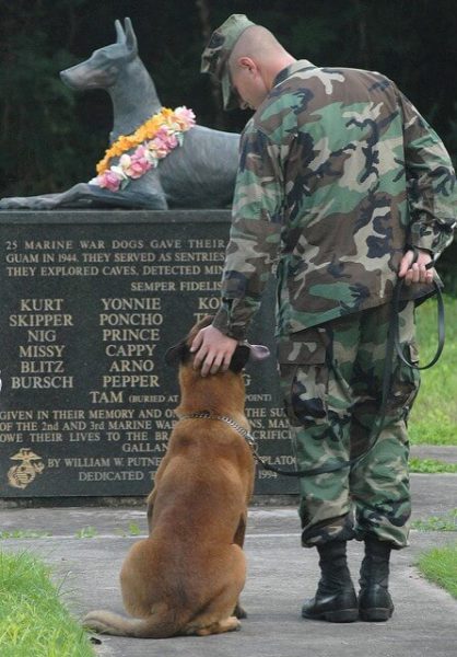 US army man with dog on leash