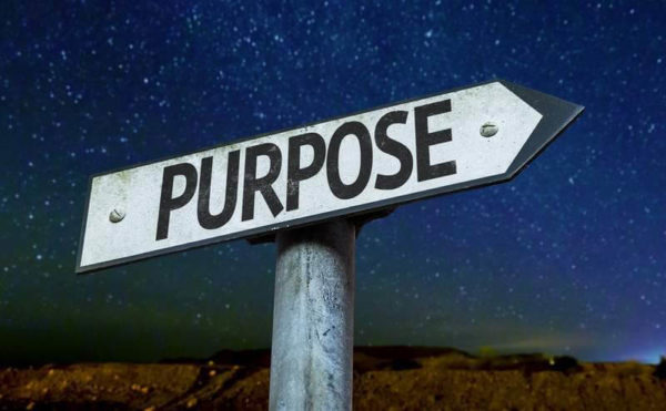 purpose sign graphic from stamp & chase